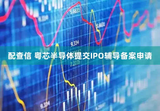 配查信 粤芯半导体提交IPO辅导备案申请