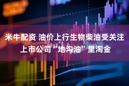 米牛配资 油价上行生物柴油受关注 上市公司“地沟油”里淘金